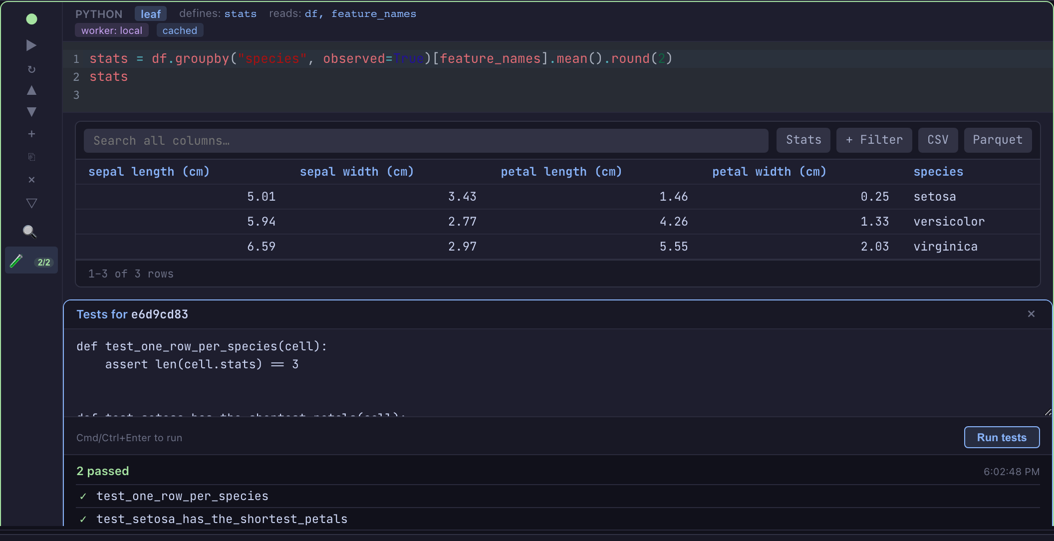 A Python cell with its results table above an open Tests panel: the test
source, a green "2 passed" summary, and a tick beside each test name. The flask
toggle on the cell's left rail carries a green 2/2
badge.