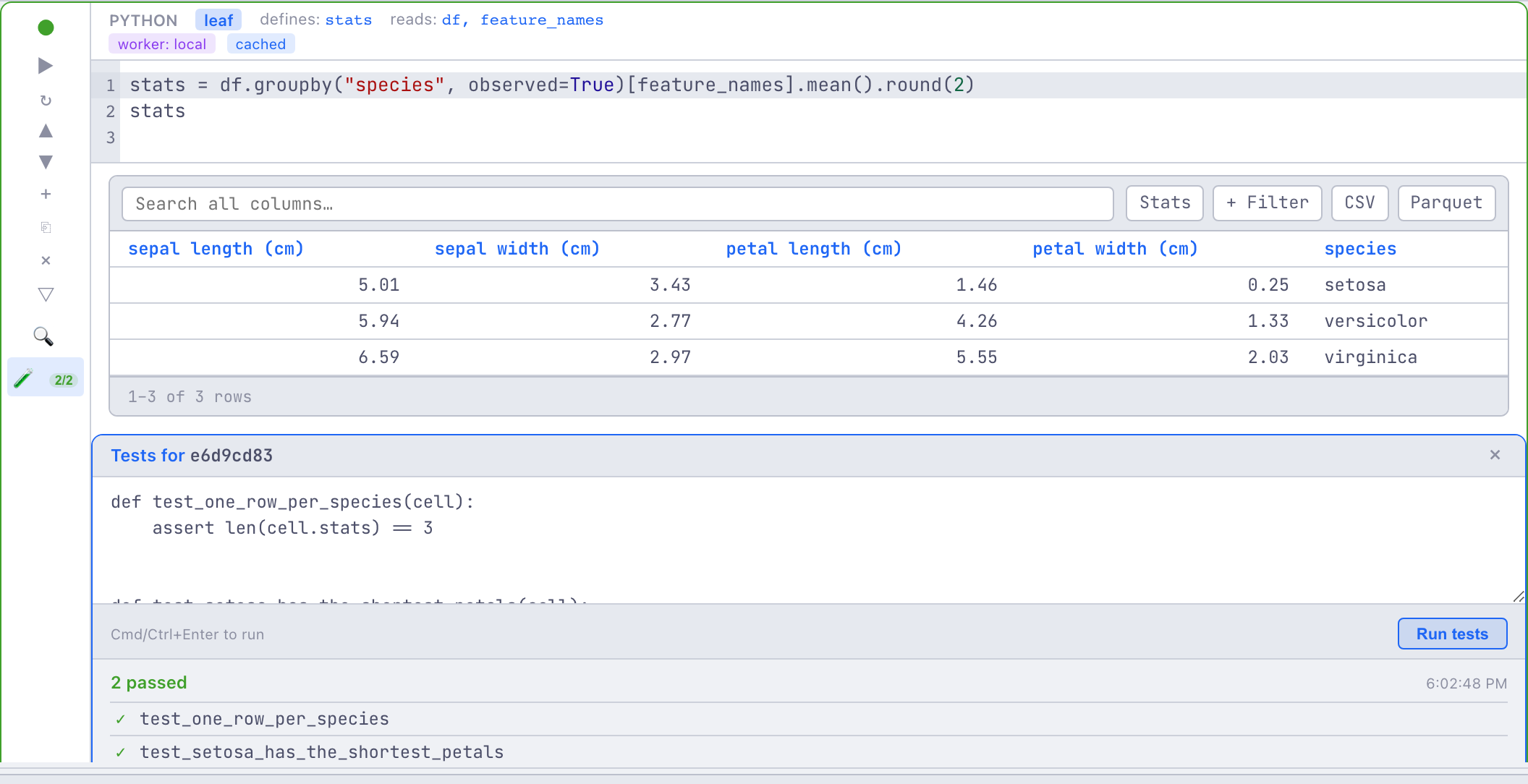A Python cell with its results table above an open Tests panel: the test
source, a green "2 passed" summary, and a tick beside each test name. The flask
toggle on the cell's left rail carries a green 2/2
badge.
